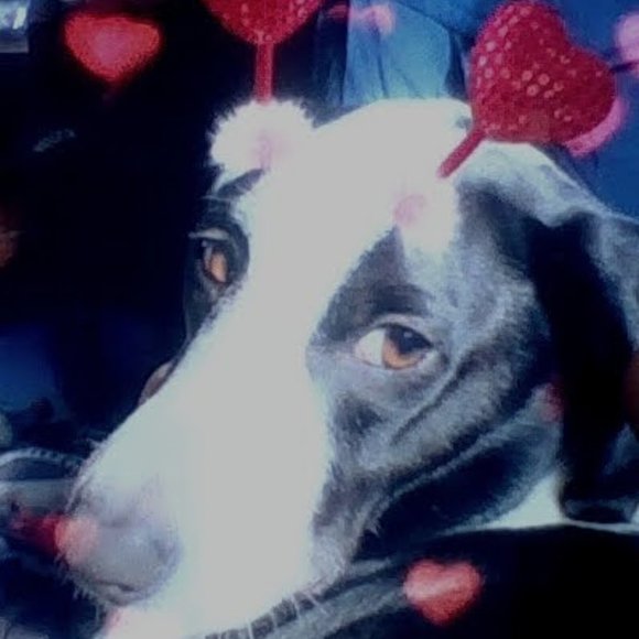 ME!! - Picture 3 of 6